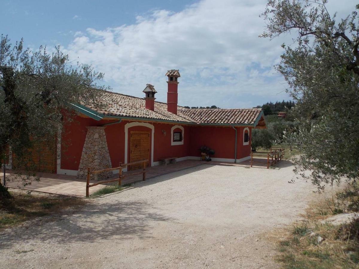 Agriturismo Cento Ducati Palombara Sabina Bagian luar foto